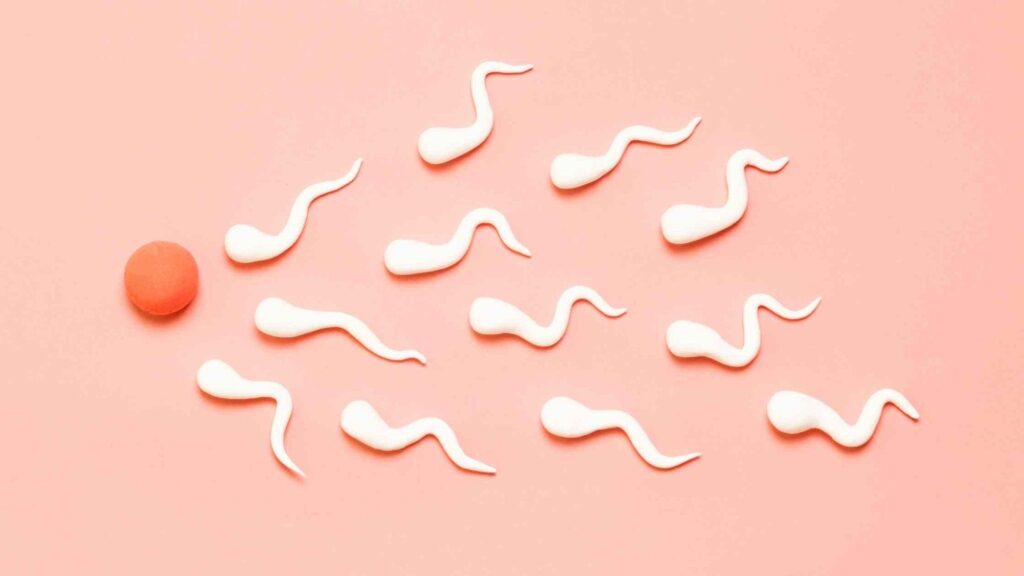 Understanding infertility