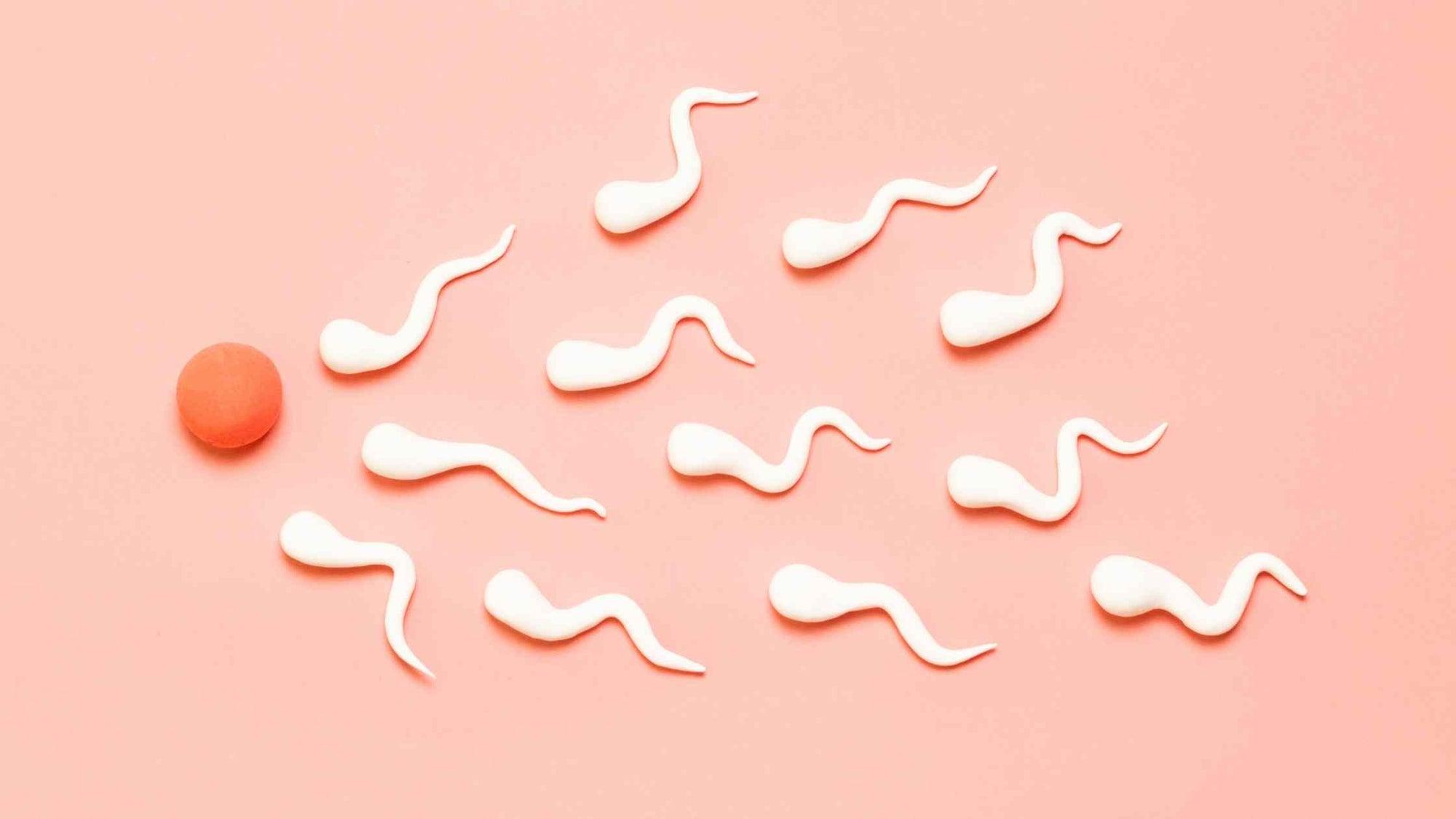 Understanding infertility: Steps for assessing your fertility