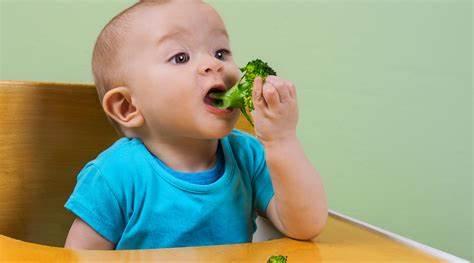 Scared to feed solid foods to your baby? Here’s everything you need to know about baby weaning or complimentary feeding!