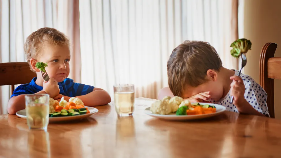 Worried about your child being a picky eater? Here’s all you need to know